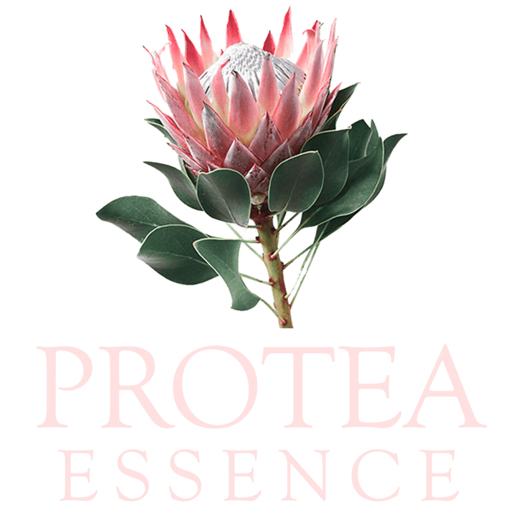 Protea-Essence-Logo